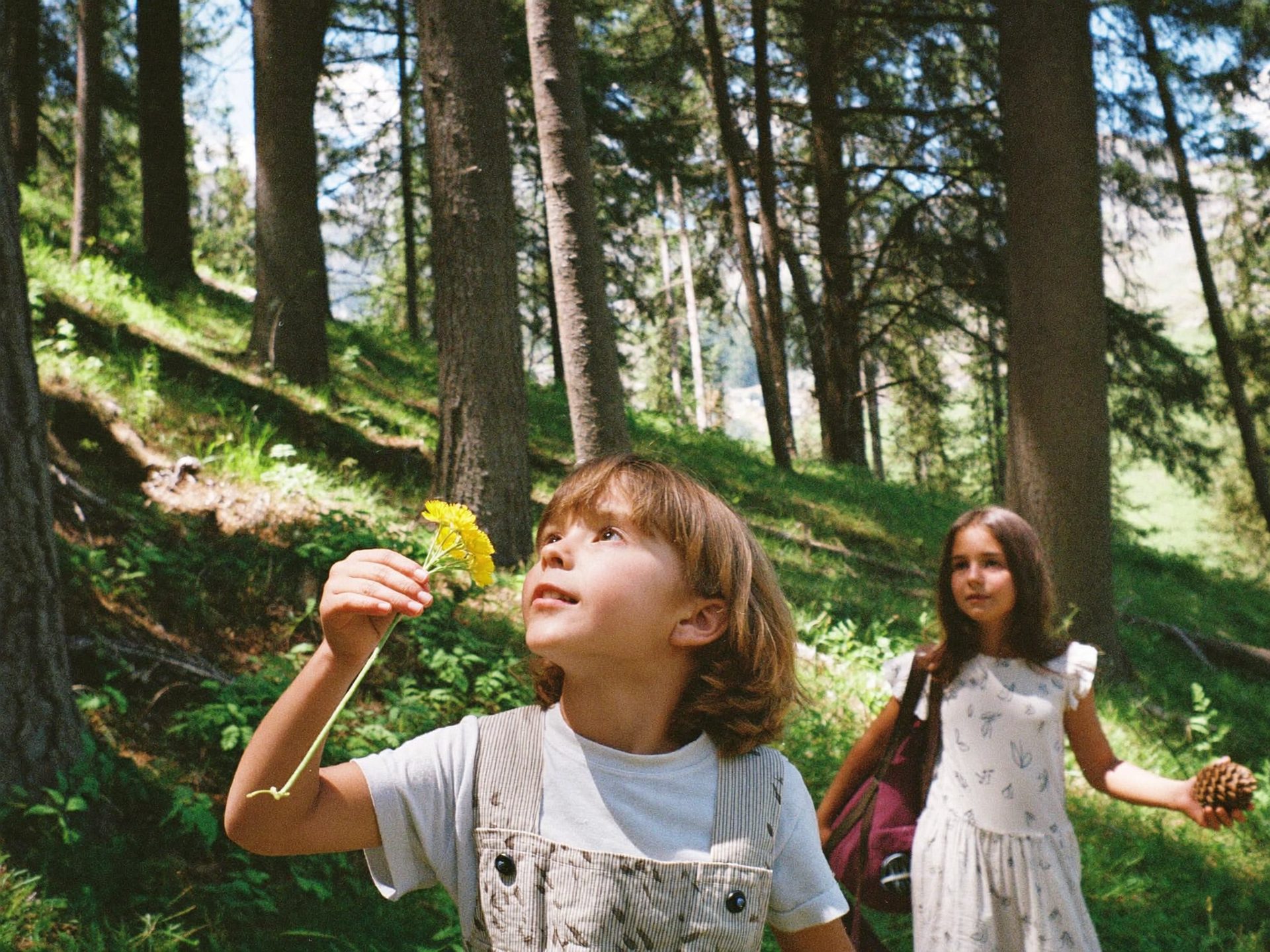 Bambini esplorano la natura nel bosco
